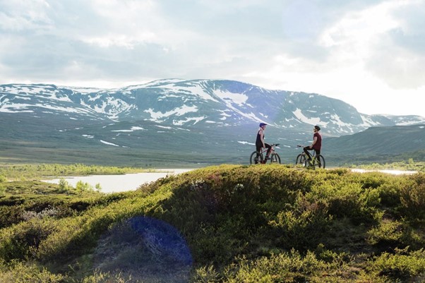 Geilo landscape