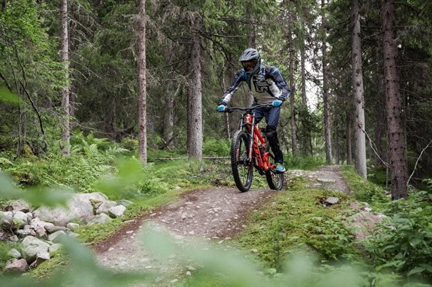 Lofsdalen Mountain bike