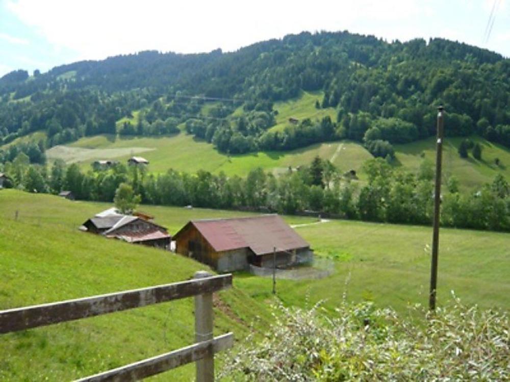 Arduus - Gstaad