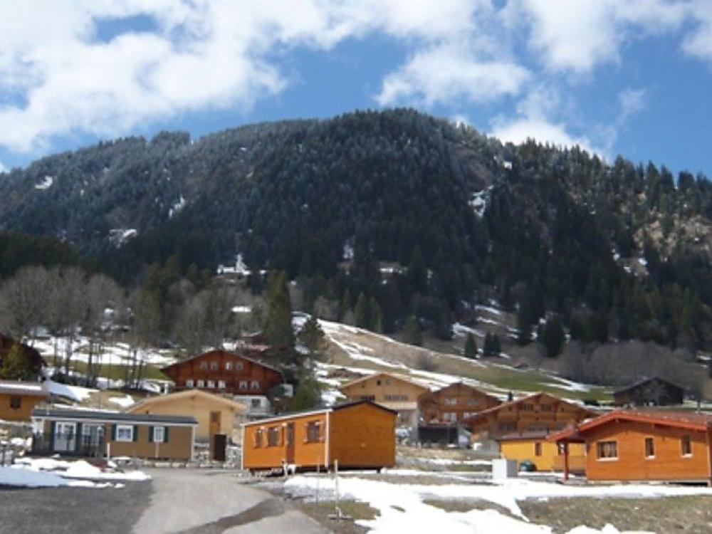 Le skieur - Gsteig bei Gstaad