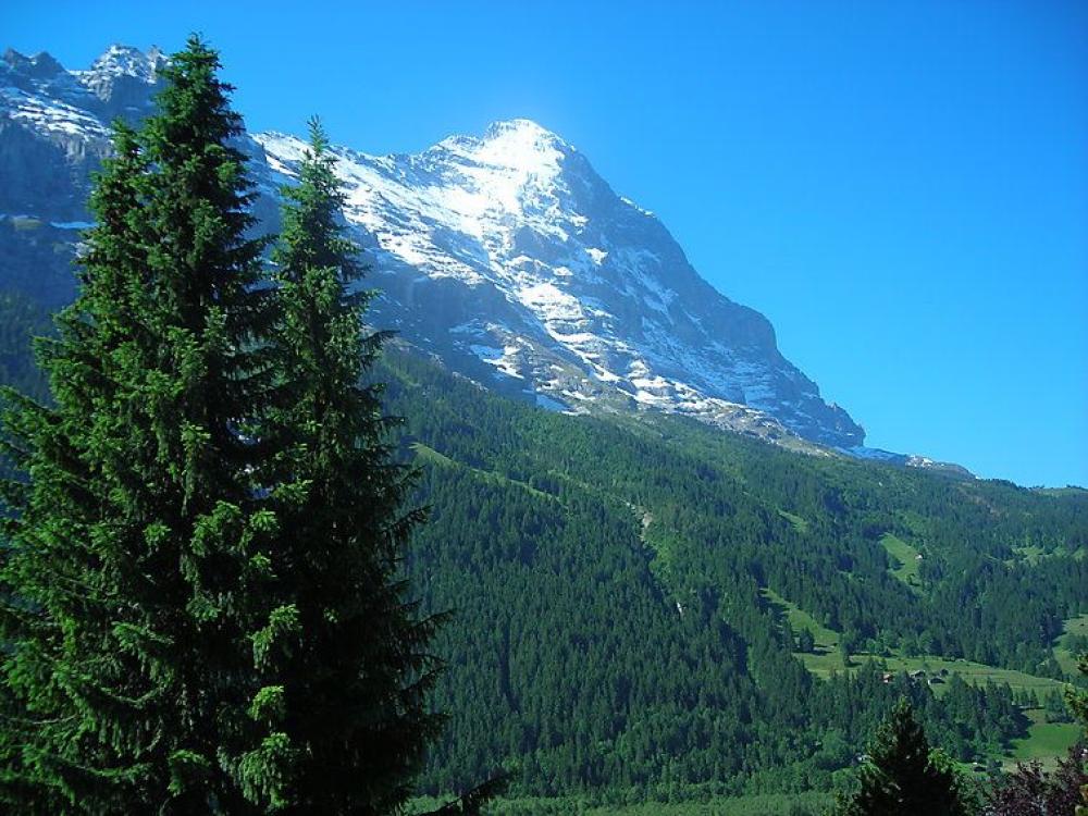 Almis 5 - Grindelwald