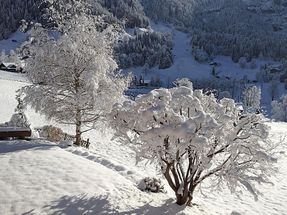 Bärgsunna - Grindelwald