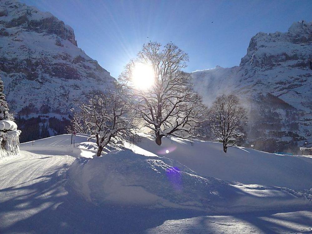 Sunny Corner - Grindelwald