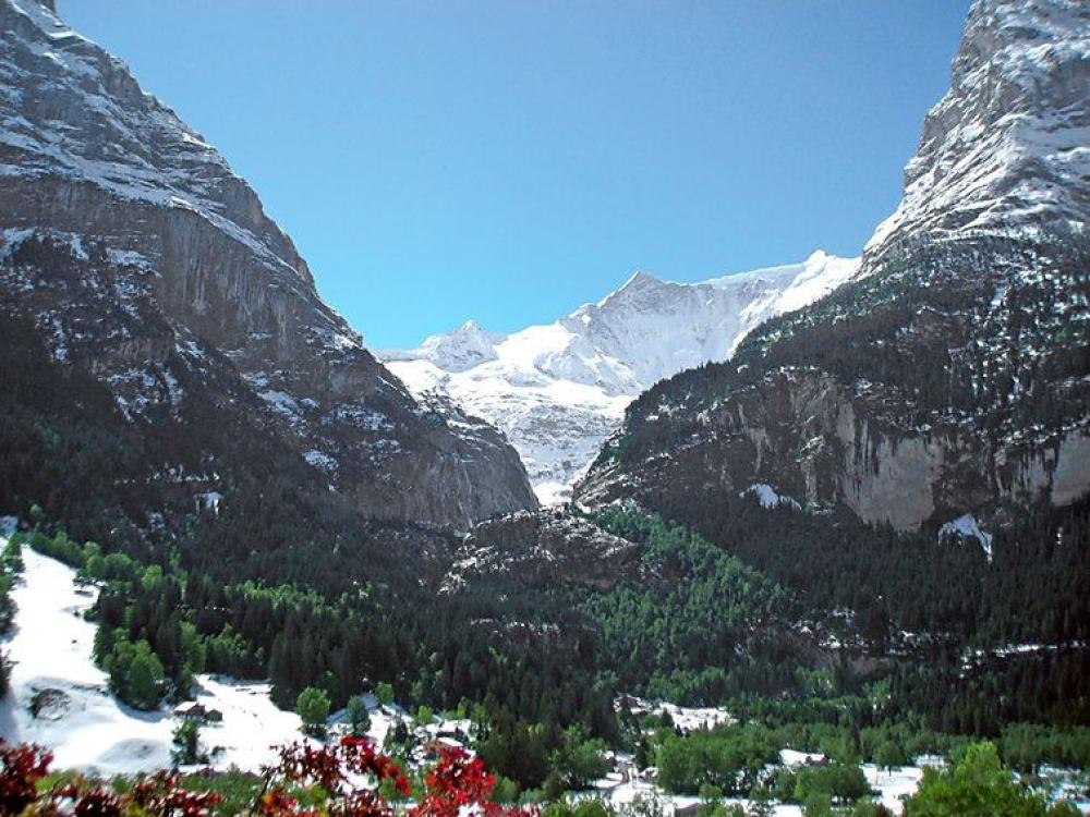 Steinbilla Grindelwald
