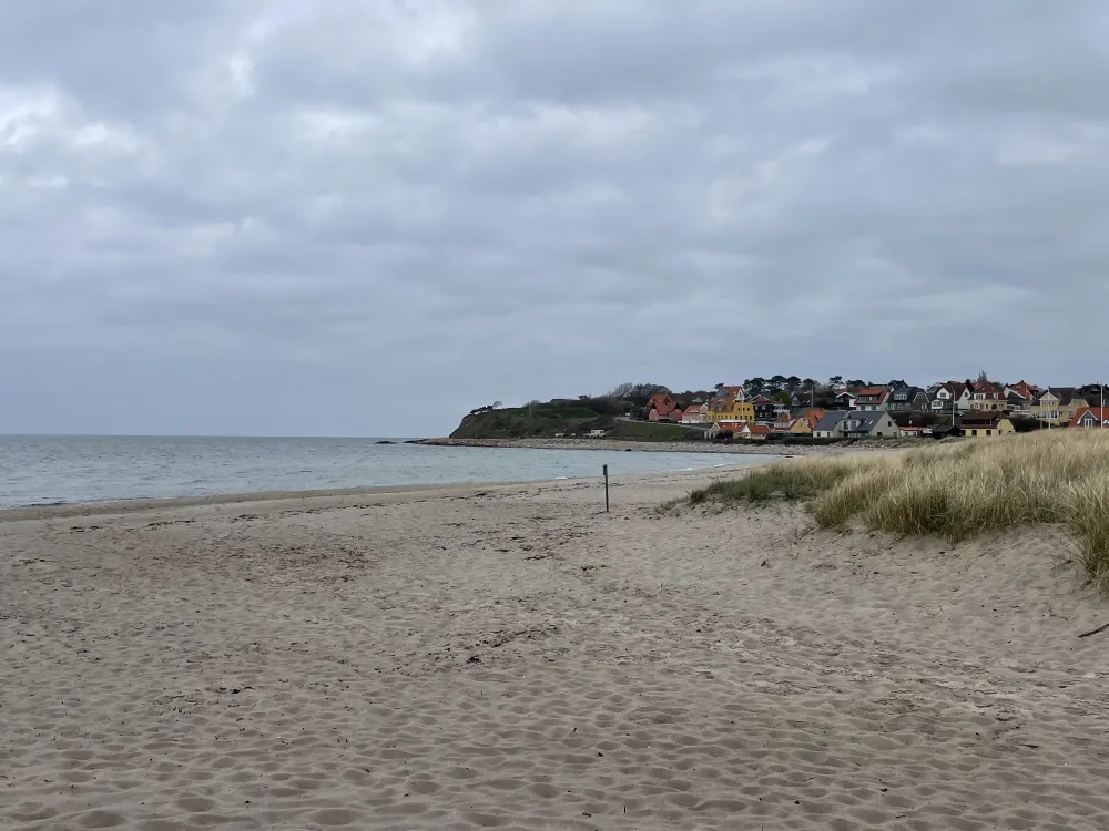 A beach with a body of water and houses.