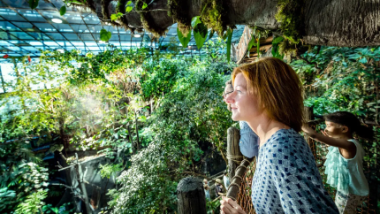 Family looking out over the rainforest at Universeum
