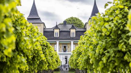 a building with a walkway between trees