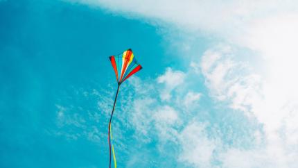kite
